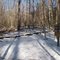 Birkhead Trail Junction