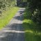 Uwharrie wildlife