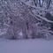 03.23.11_Snow03