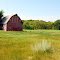 Barnyard