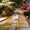 Mirror Lake Dam, Zemurray Gardens 1984