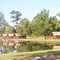 The pond in our campground.