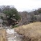 Rawls Creek