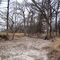 Rawls Creek