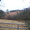 Old Bacon Rd