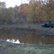 Pond off of Morgan RD