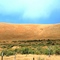 Johnston Ranch
