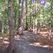 Fitness Trail at Hellwig Park