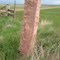 Quartzite Border Marker