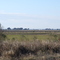 Midland