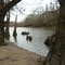 Good Fishing Hole