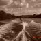 Wake