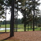 Legacy Golf Links - 18th Green