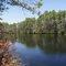 Pond on Wildlife Rufuge