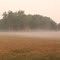 Foggy Panarama