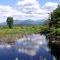 Little Cherry Pond, New Hampshire