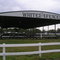 White Fences
