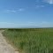 Great Salt Lake Shoreland Preserve