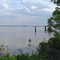 Mississippi River in June 2008