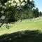 Short Creek Cemetery