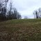 IMG00375-20121104-1237.jpg