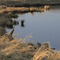 Helena Pond