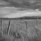 Leaden skies. Sept 08.