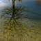 Spring Meadow Lake Reflection