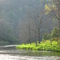 Buckhorn Creek
