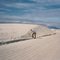 White Sands Alamogordo New Mexico o=k