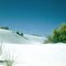 -New Mexico- White Sands (1959)