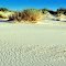 white sands desert