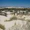 White Sands - New Mexico