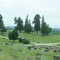 Graceland Cemetery, Avoca