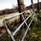 Fence on Masonic land