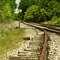 Tracks