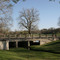 Wells Branch Greenbelt - Alpha Collier Intersection
