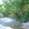 Gilleland Creek, Pfluger Park