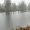 Hoquiam River history - 200902LJW