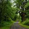 Chenois Valley Road - 201107LJW