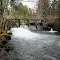Hoquiam Watershed Dam - 201203LJW
