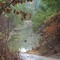 Little River at Tom Watson Bridge, McDuffie County GA