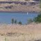 Sailboat on the Columbia from Hat Rock Trail