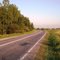 Дорога на Никифорово