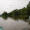 Cape Fear Near Lillington, NC June 2007