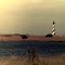 Lighthouse 4/1984