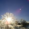 New Year's Sunrise at Hastings Lake (2007)