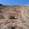 Climbing Dump Hill