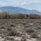 Base housing | Hawthrone, Nevada