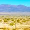 Ammo Storage near Hawthorne, Nevada